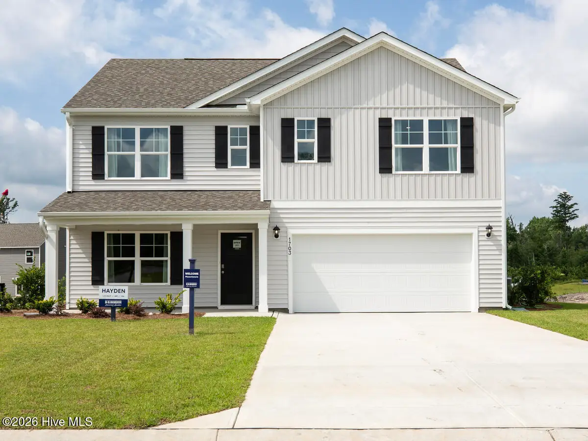 1117 Pampas Grass Drive #Lot 291, Castle Hayne, NC 28429 - #1
