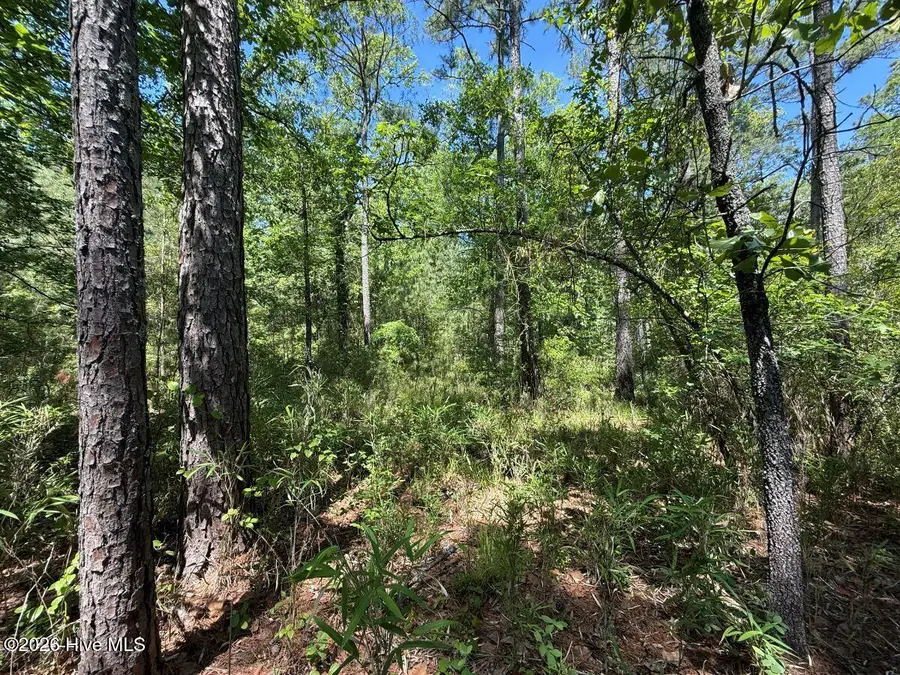 Lot 27 Sunset Point, Belhaven, NC 27810 - #3