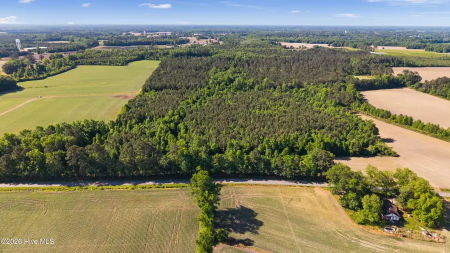 26 Acres High School Road, Teachey, NC 28464 - #2