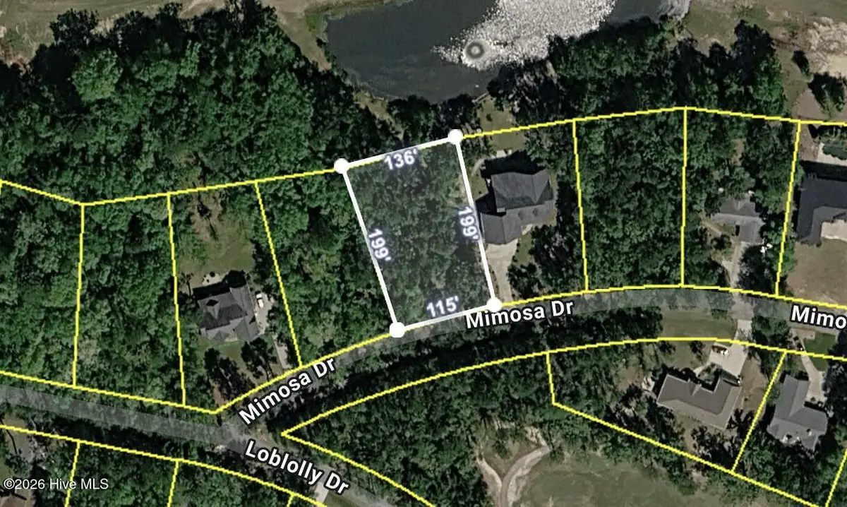713 Mimosa Drive, Vass, NC 28394 - #1