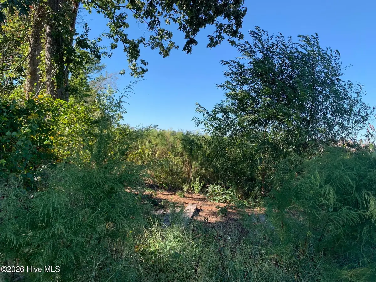 Tbd Hendrix Lane, Windsor, NC 27983 - #1
