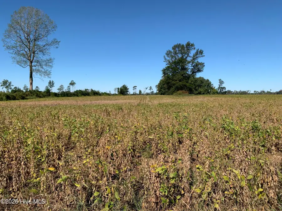 Tbd Hendrix Lane, Windsor, NC 27983 - #3