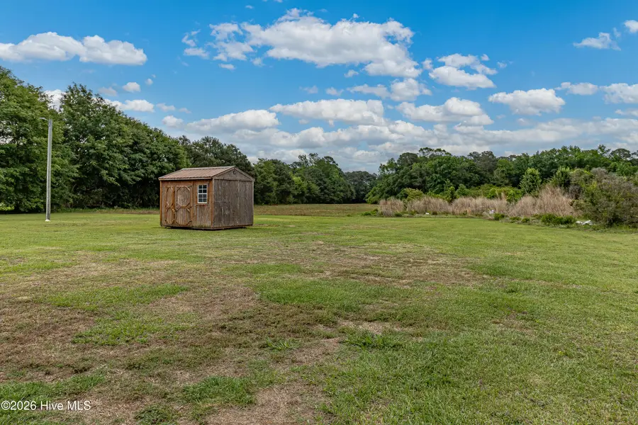 239 Stanley Chapel Church Road, Dudley, NC 28333 - #3