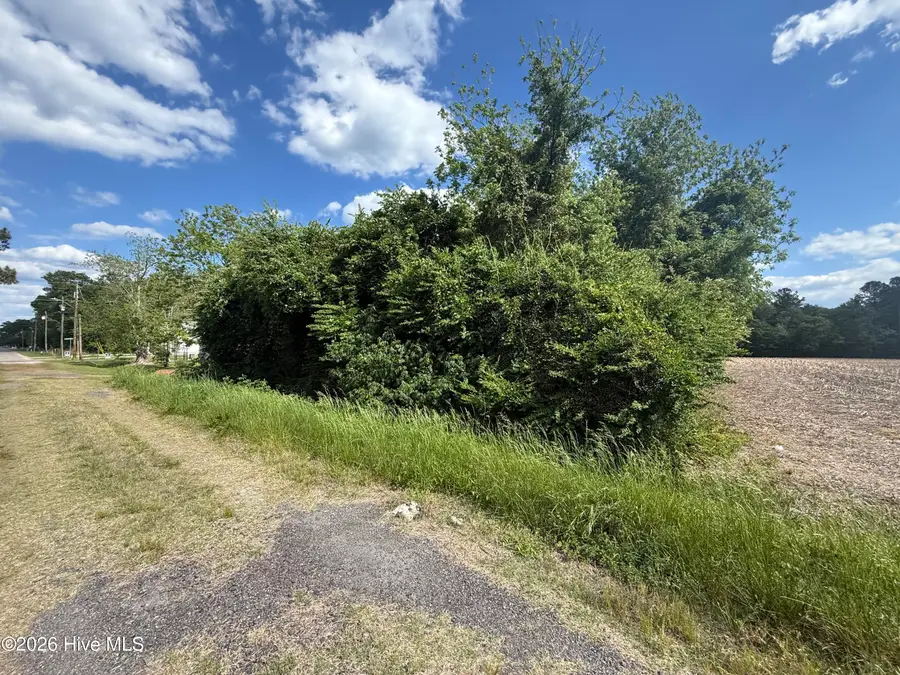 4 W Hayes Street, Burgaw, NC 28425 - #2