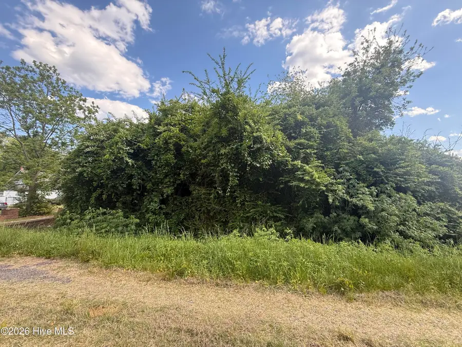 4 W Hayes Street, Burgaw, NC 28425 - #3