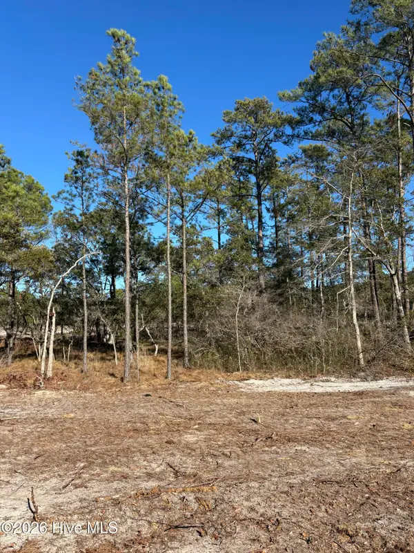 Lot 136 Coral Gull Street, Southport, NC 