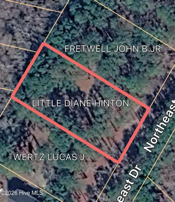 0 Northeast Drive, Burgaw, NC 28425