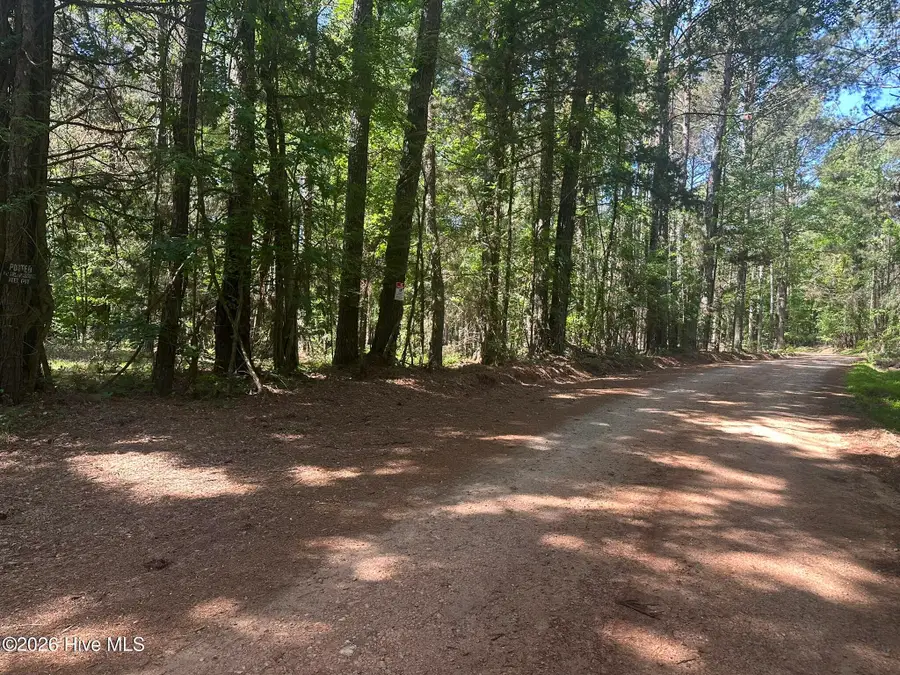 Lot 4 Saggus Road, Washington, GA 30673 - #3