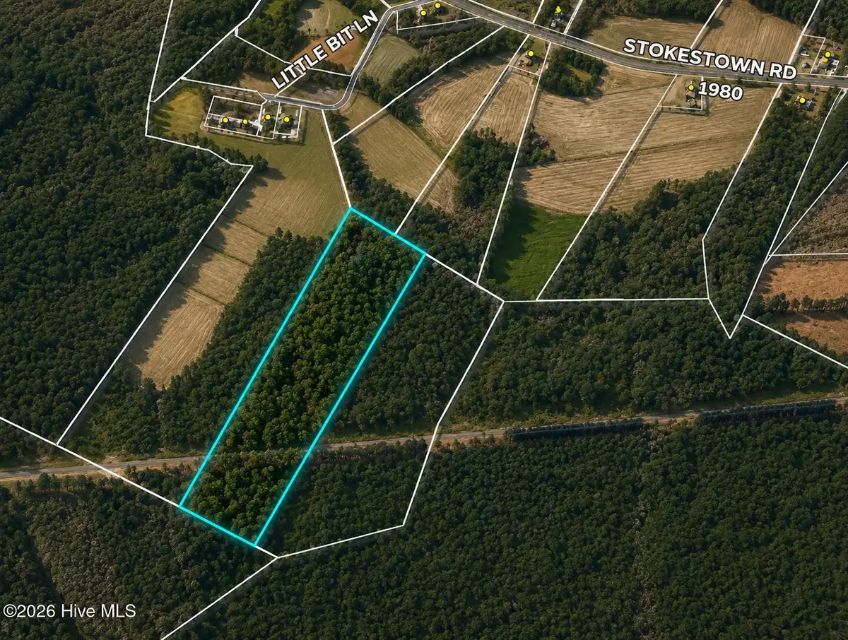 00 Stokestown Road, Wallace, NC 28466 - #1