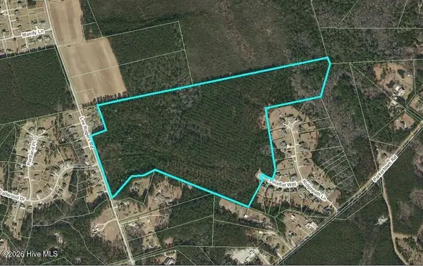 00 Parkertown Road, Hubert, NC 28539