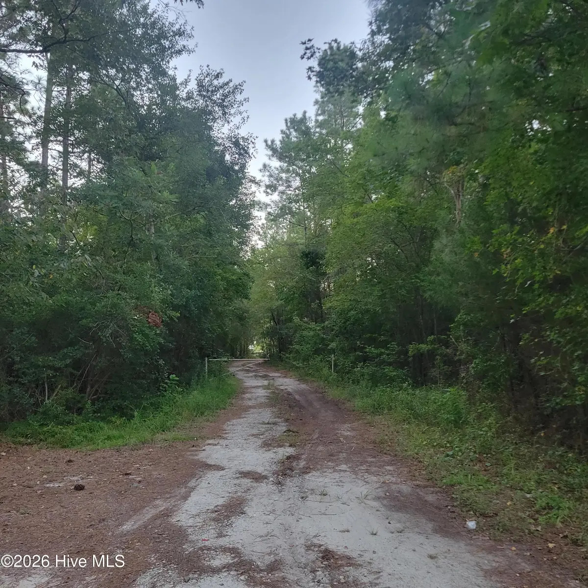 6816 Nc Hwy. 53 E, Burgaw, NC 28425 - #1