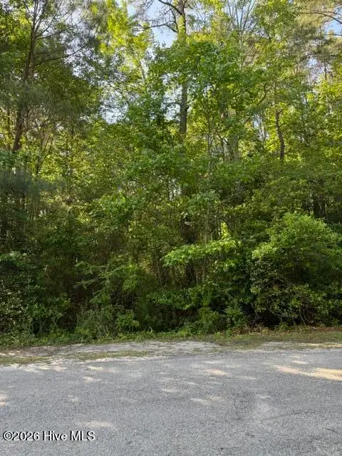 103 Emerson Court, Hampstead, NC 28443 - #2