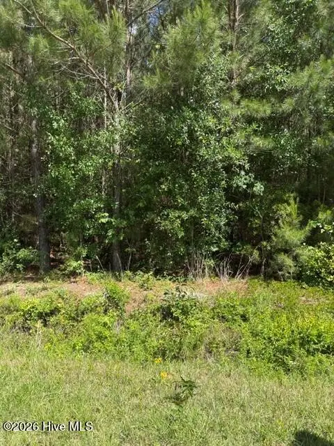 0 Beattys Bridge Road, Atkinson, NC 28421 - #2