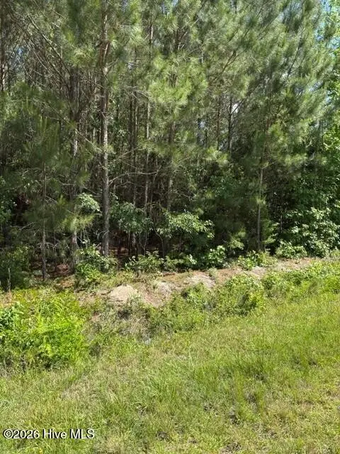0 Beattys Bridge Road, Atkinson, NC 28421 - #3