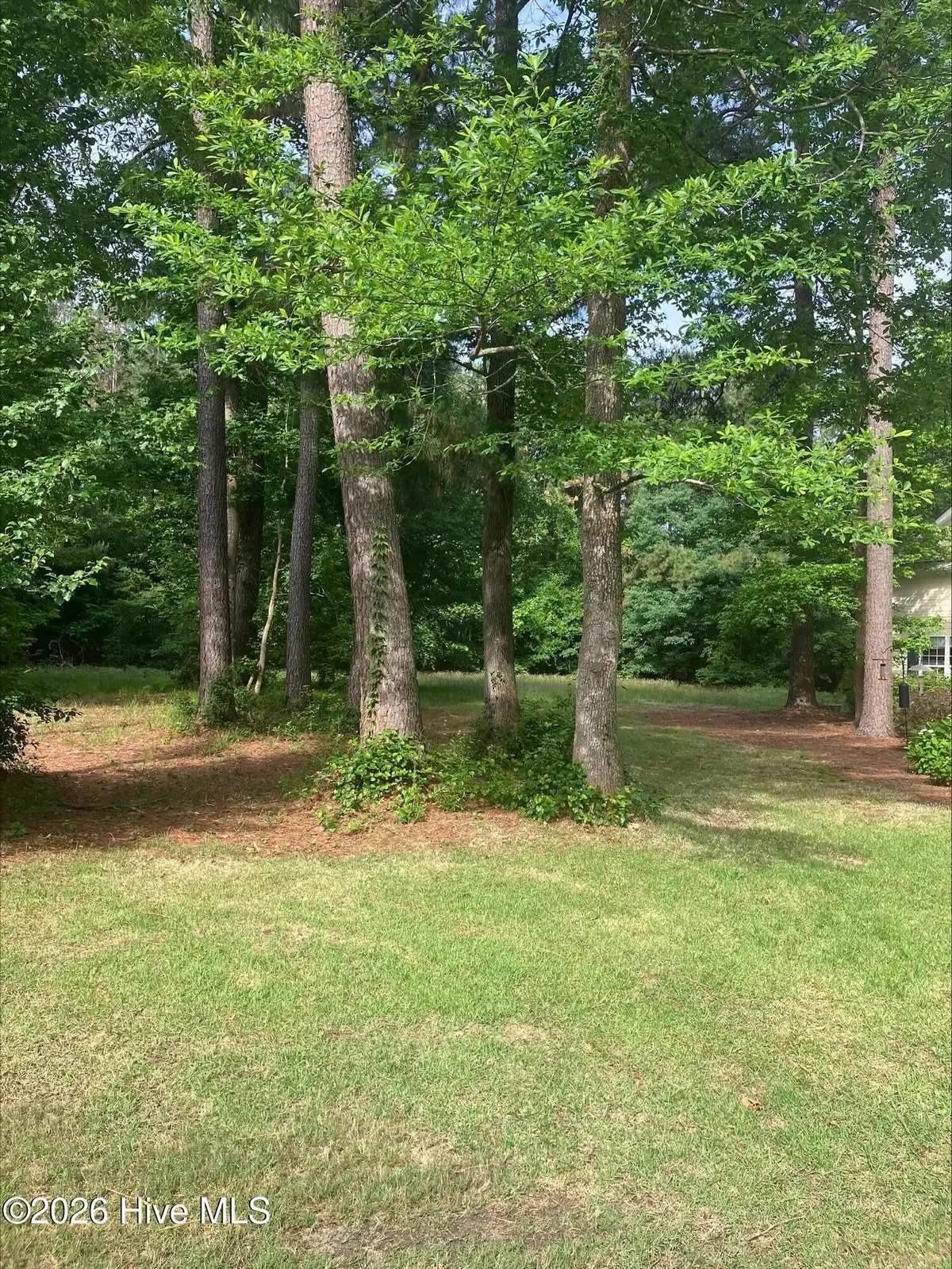 157 Southern Magnolia Lane, Wallace, NC 28466 - #1