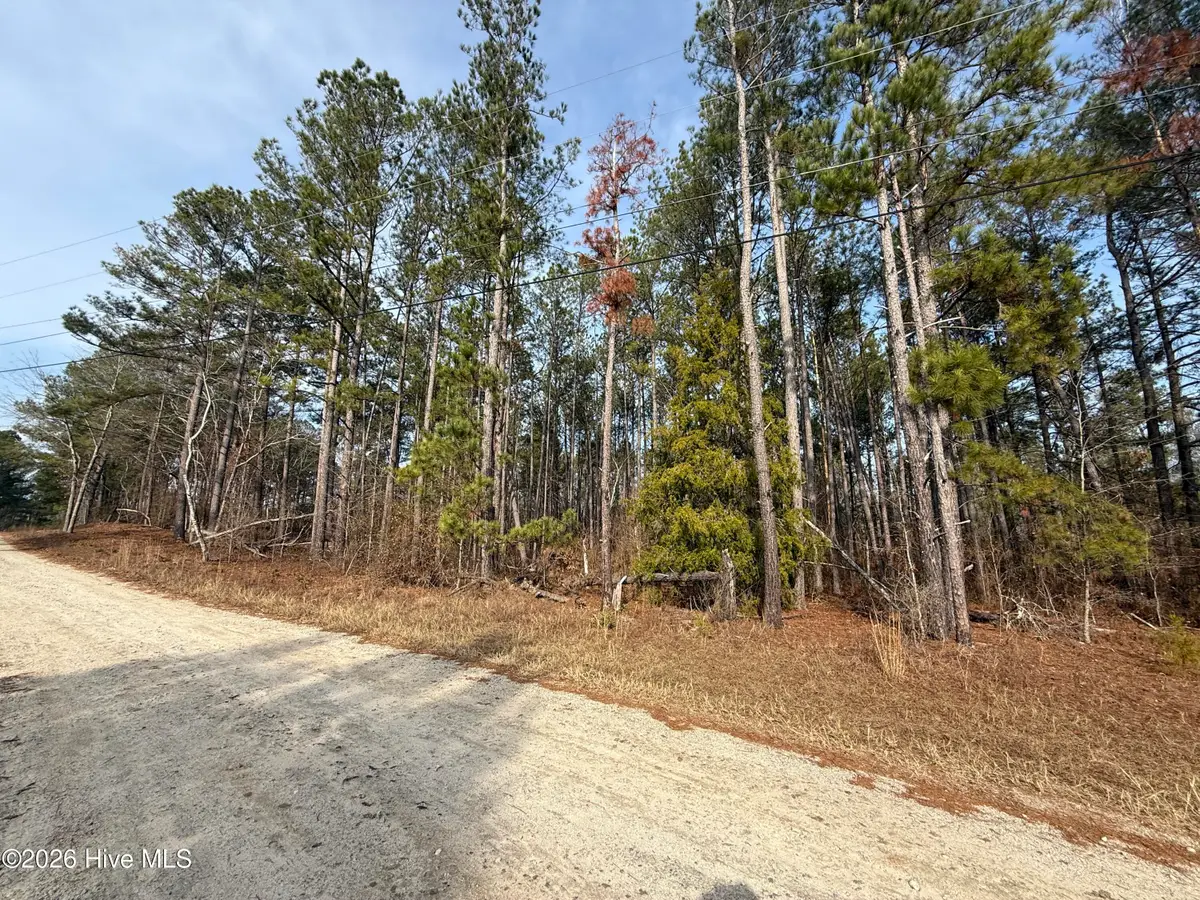 165 Wayne Lane, Hephzibah, GA 30815 - #1