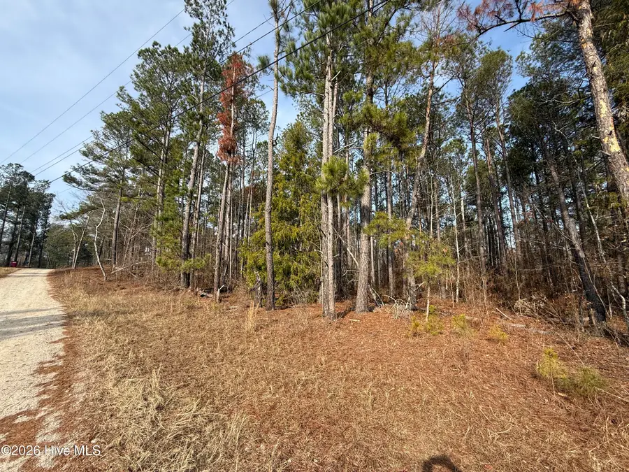 165 Wayne Lane, Hephzibah, GA 30815 - #2