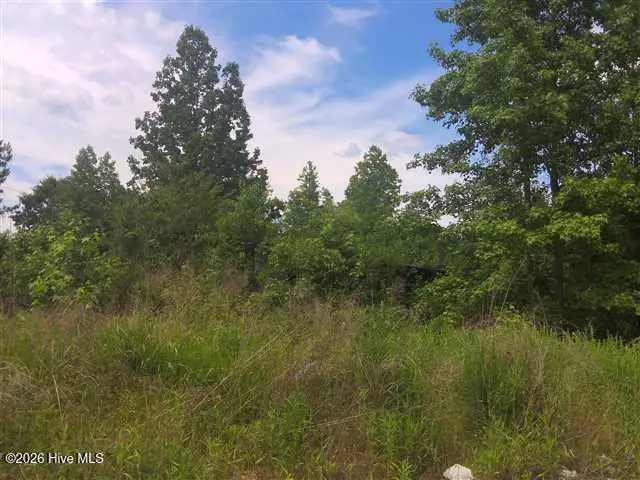 195 Wilders Lane, Louisburg, NC 27549 - #1
