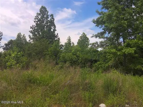 195 Wilders Lane, Louisburg, NC 27549
