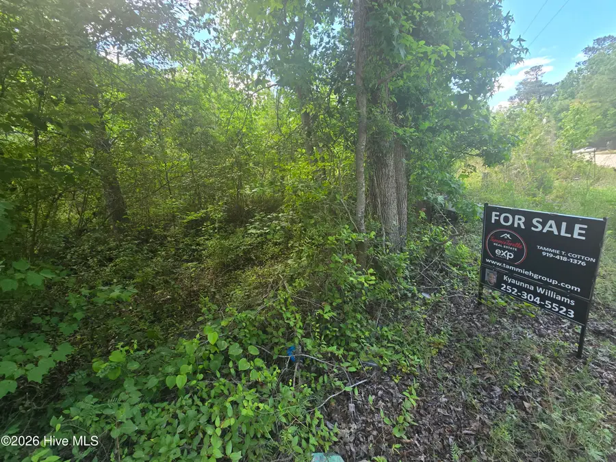 195 Wilders Lane, Louisburg, NC 27549 - #3