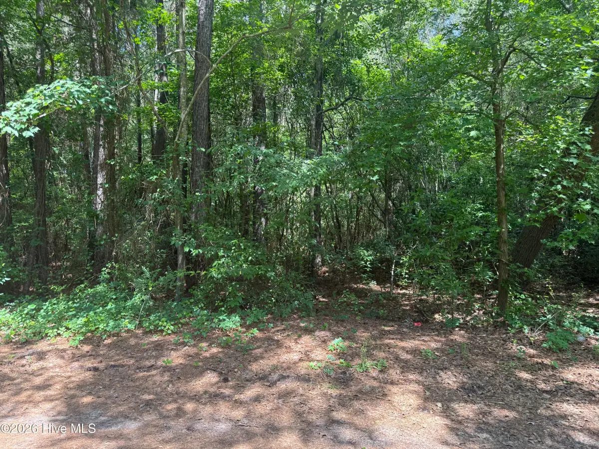 0 Herring Loop Road, Wallace, NC 28466 - #1