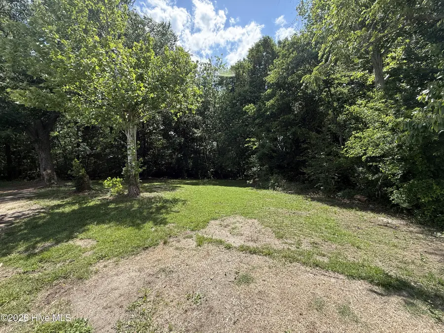 2684 Carolina Highway 111 S, Seven Springs, NC 28578 - #3