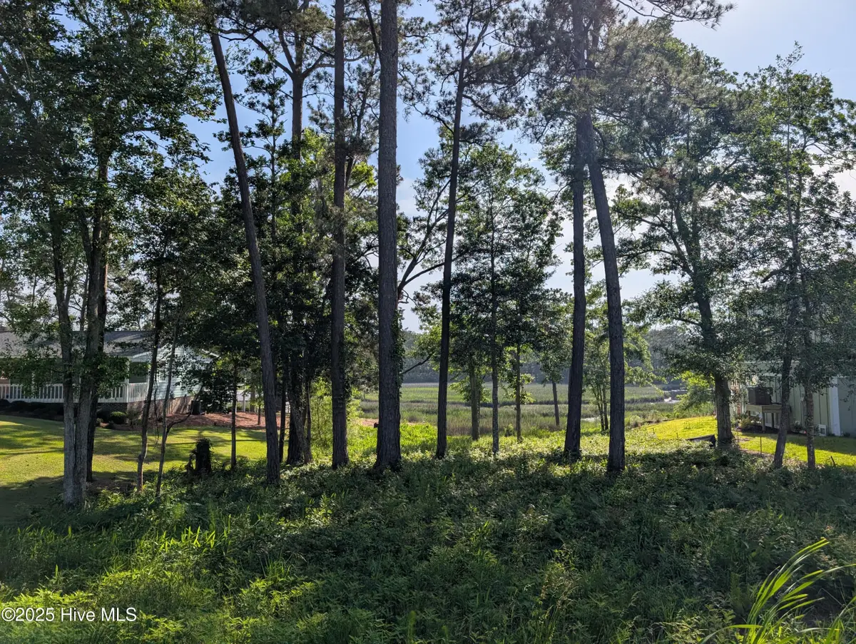 1743 Star Cross Drive Sw, Shallotte, NC 28470 - #1