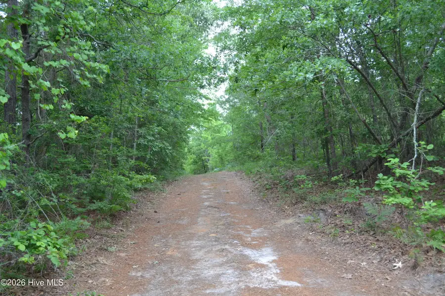 00 Old Barnwell Road Road, Windsor, SC 29856 - #2
