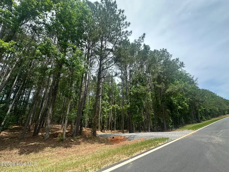 Lot E Ridge Road, Appling, GA 30802 - #3