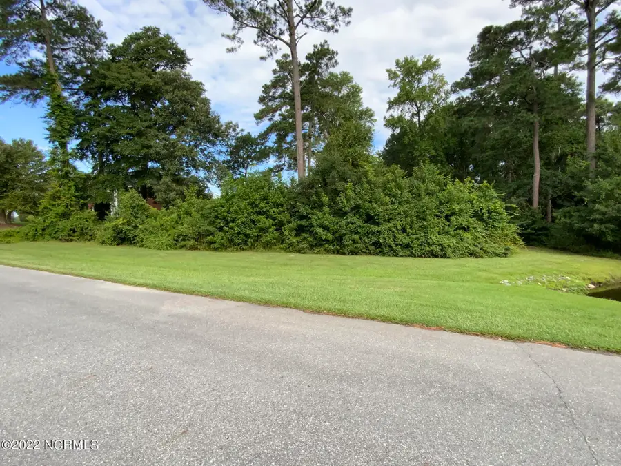 113 Breezewood Drive, Goldsboro, NC 27534 - #2