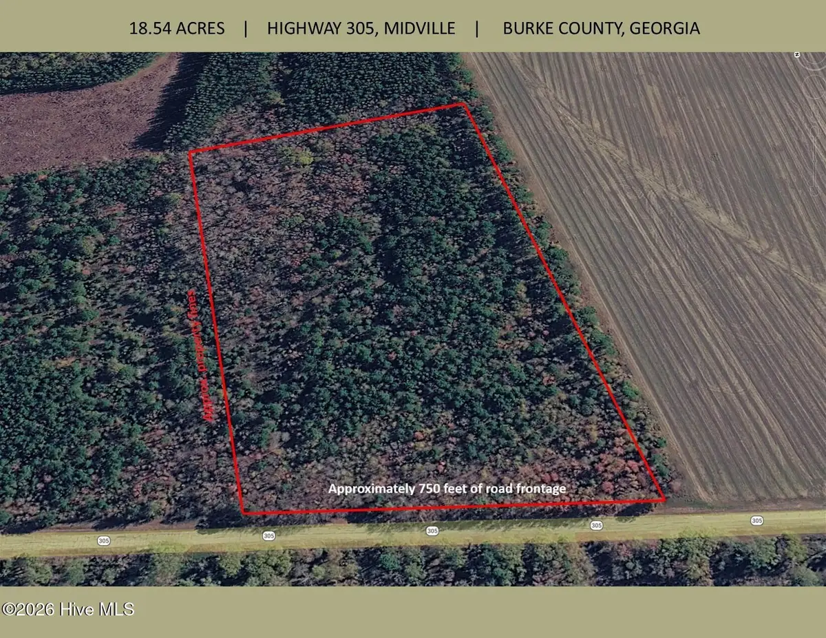 00 Georgia 305, Midville, GA 30441 - #1