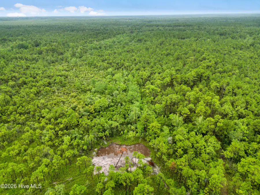 Tract  4 Hwy 17 Off, Hampstead, NC 28443 - #3