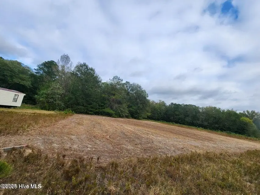0 N Carolina 210, Currie, NC 28435 - #2