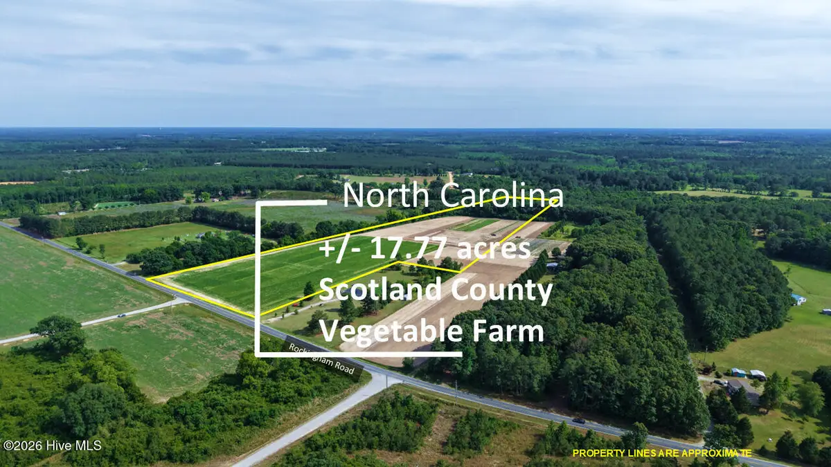 5901 Rockingham Road, Laurel Hill, NC 28351 - #1
