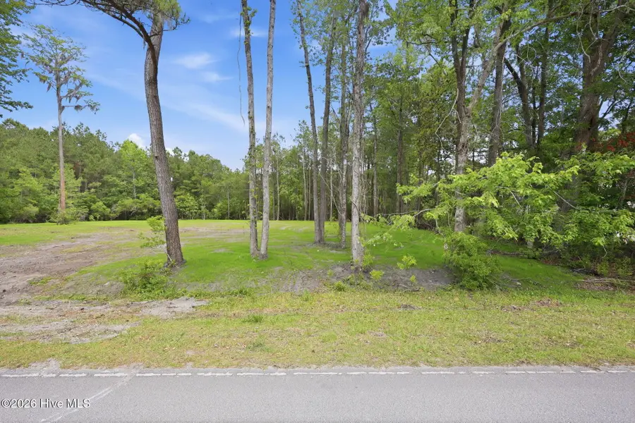 161 Trent Shores Drive, New Bern, NC 28562 - #2