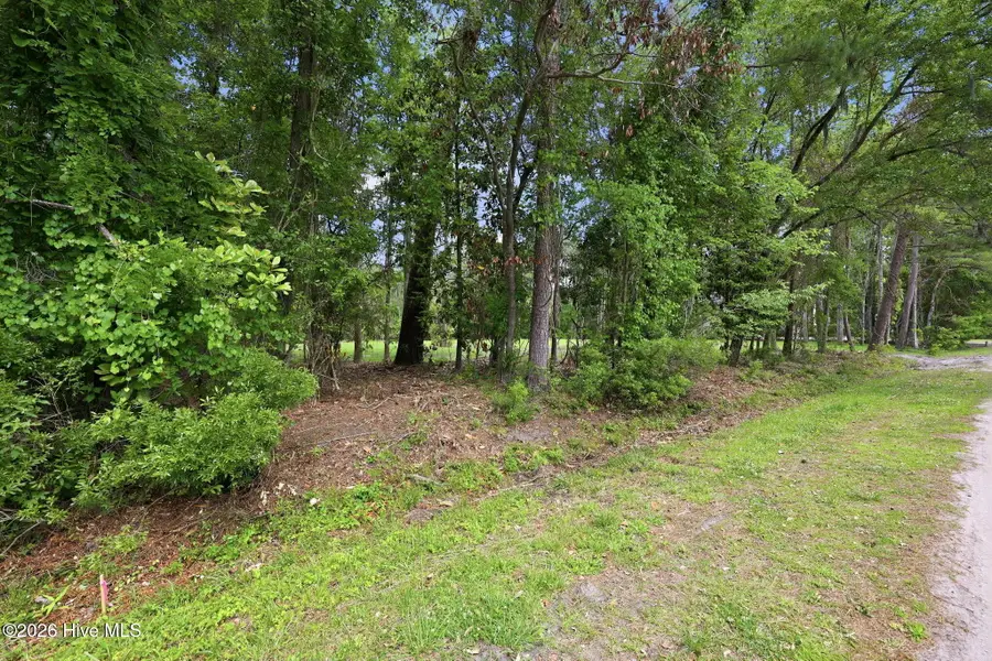 163 Trent Shores Drive, Trent Woods, NC 28562 - #3