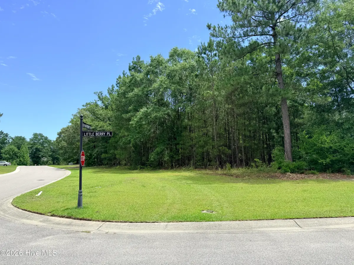 3702 Little Berry Place Ne, Leland, NC 28451 - #1