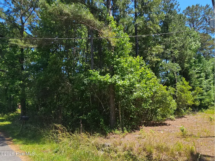 Lot 1 Lucas Avenue, Rocky Point, NC 28457 - #3