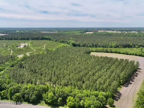 0 Skeeter Pond Road, Grifton, NC 28530