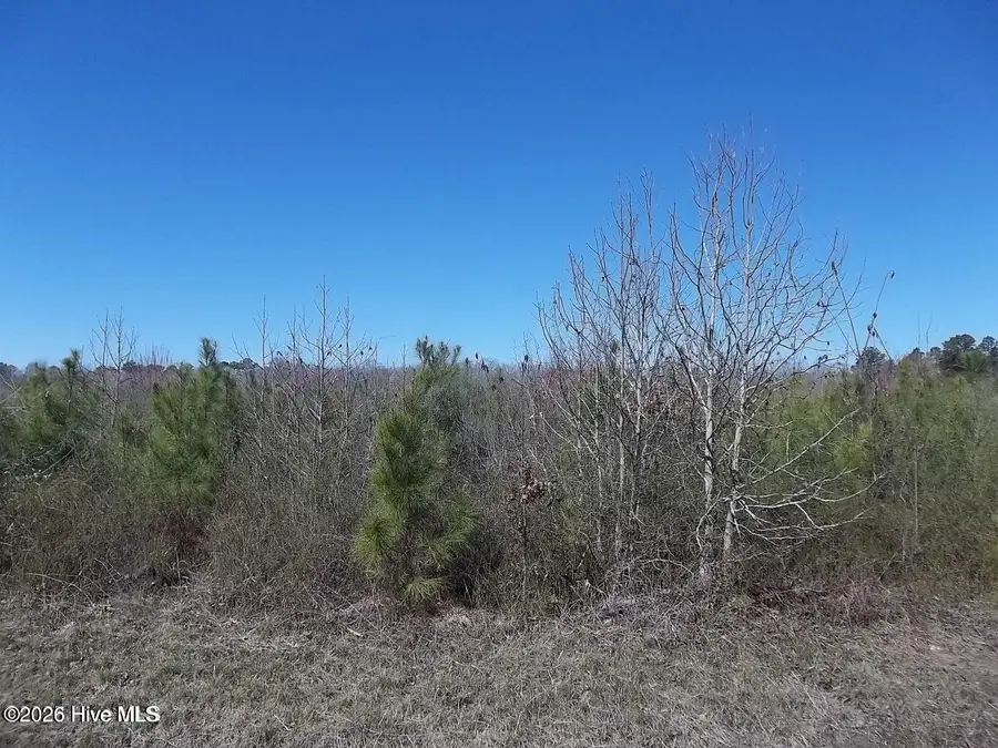 Tbd Boat Ramp Road, Hertford, NC 27944 - #2
