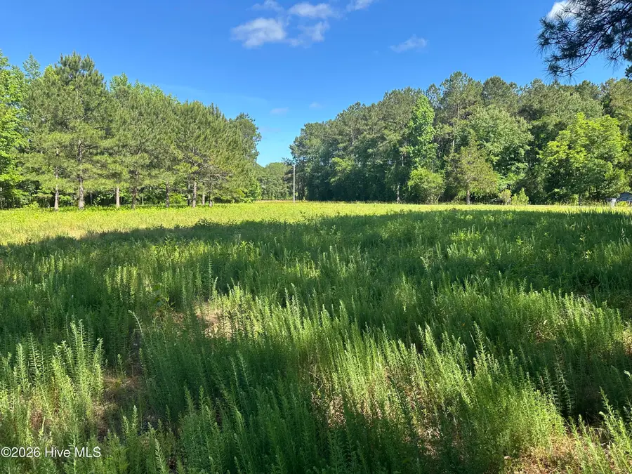Near 594 Big Cypress Road, Nakina, NC 28455 - #3