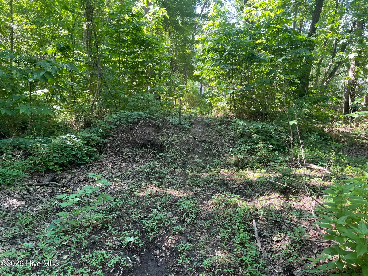 136 Bison Drive, Moyock, NC 27958 - #1