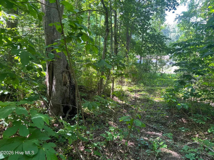 136 Bison Drive, Moyock, NC 27958 - #2