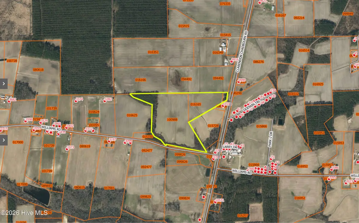 0 Clarendon-chadbourn Road, Clarendon, NC 28432 - #1