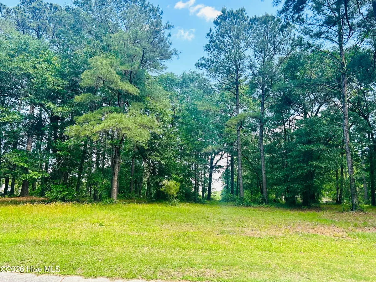 261 W Winding Way, Wallace, NC 28466 - #1