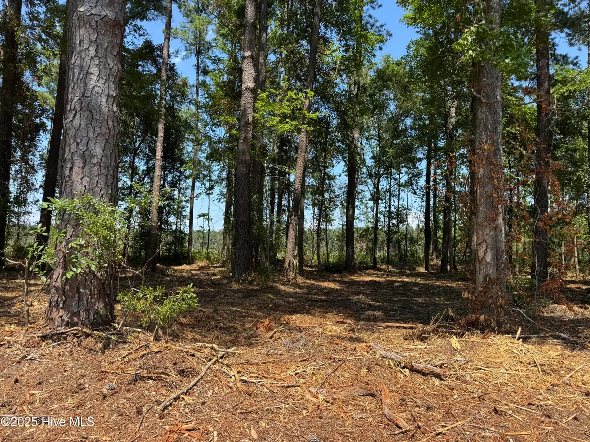 Lot 6 Near 4102 Swamp Fox Highway W, Tabor City, NC 28463 - #1
