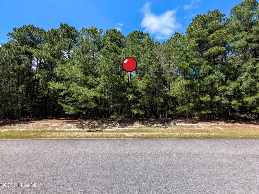 Lot #39 Calm Harbor Street, Hertford, NC 27944 - #3