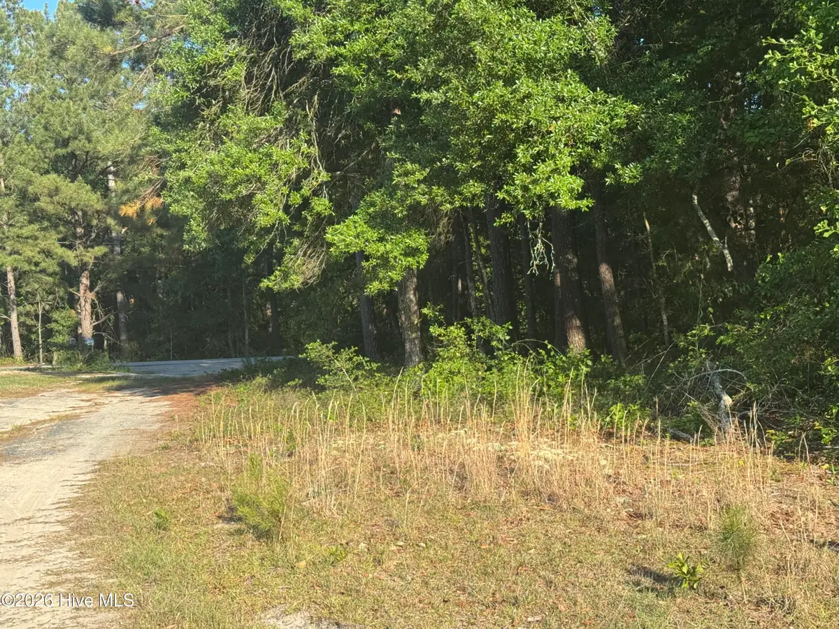 114 Green Cedar Drive, Hamlet, NC 28345 - #1