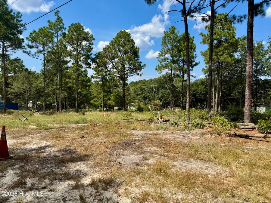 114 Green Cedar Drive, Hamlet, NC 28345 - #2