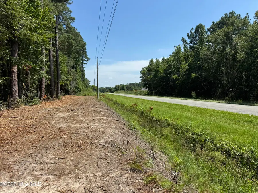Lot 5 Near 4102 Swamp Fox (lot 5) Highway W, Tabor City, NC 28463 - #3